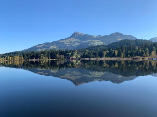 Waldnest, Kitzbühel (foto 5)