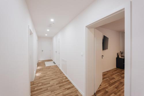 Ieeja, Apartmán U sklepů (Apartman U sklepu) in Hovorany