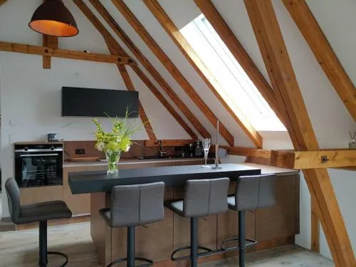 Exclusive Studiowohnung mit besonderem Flair und Dachterrasse - Vesteblick in Coburg, Deutschland