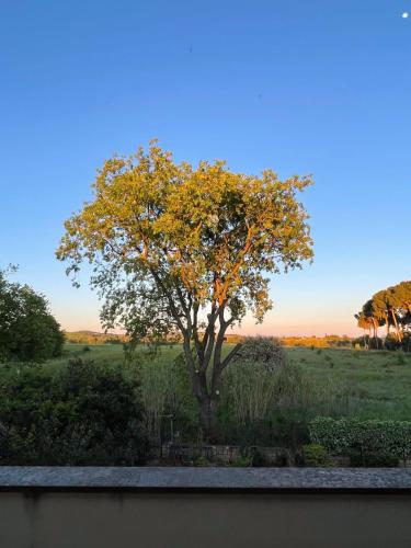 La Quercia Holiday Home Capalbio