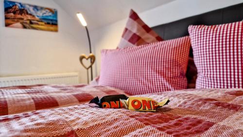 Falkenstein - Ruhige familienfreundliche 3-Zimmer-Ferienwohnung mit Alpenpanorama in Pfronten Mitte, Pfronten (photo 8)