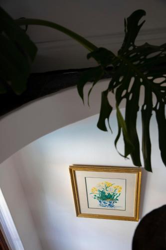 Ami Vine House - image 12