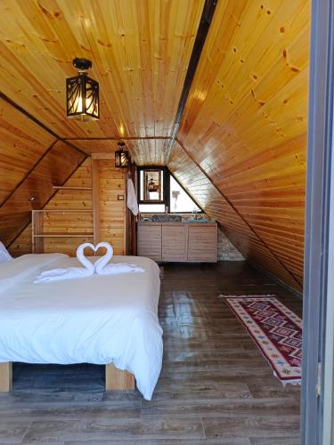 Dana luxury huts in Dana