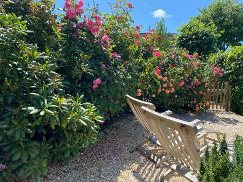 Föhrienhaus Föhrienhaus