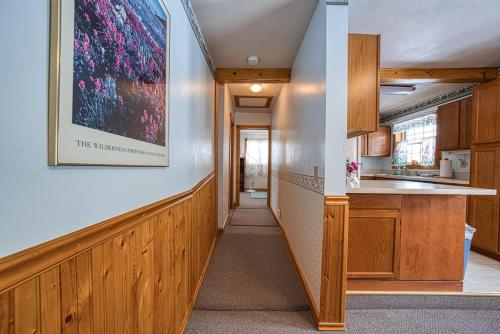 Forget Me Not Forget Me Not