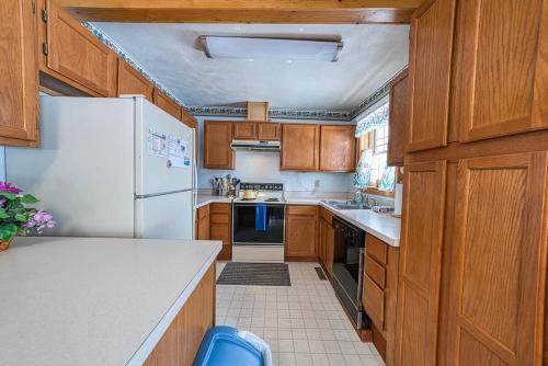 Forget Me Not Forget Me Not