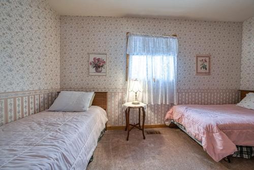 Forget Me Not Forget Me Not