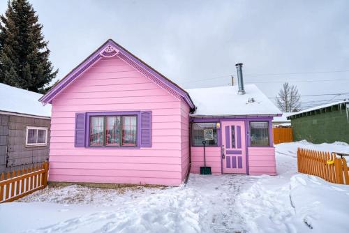 Forget Me Not Forget Me Not