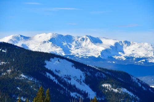 Forget Me Not Forget Me Not