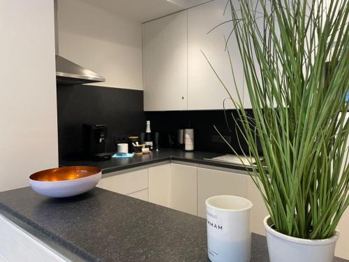 Two-Bedroom Apartment image 2