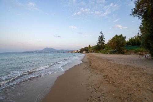 The Seaside Villa