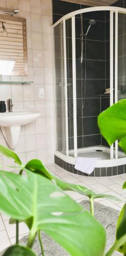Bathroom, Ferienwohnung Funk in Mullenbach