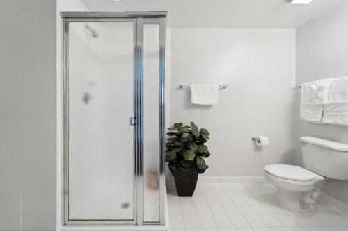 2BR Executive City Suite With Gym & Pool 2BR Executive City Suite With Gym & Pool