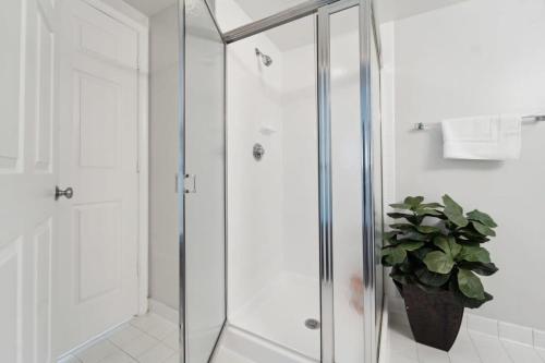 2BR Executive City Suite With Gym & Pool 2BR Executive City Suite With Gym & Pool