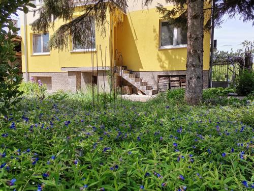 Стаи за гости "Дом Градина Вита" / Guest Rooms “House Vita Garden”