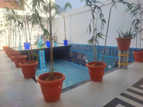 MahaPeriyava Kuteeram 5BHK Villa