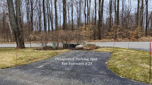 Birchwood Farms condo overlooking Birches #1 - image 2