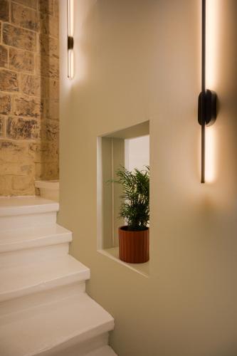 Domingo x Casa Norte in Birgu