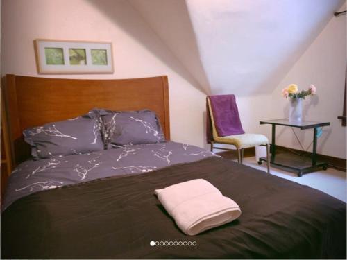 Seattle Urban Village- Shasta