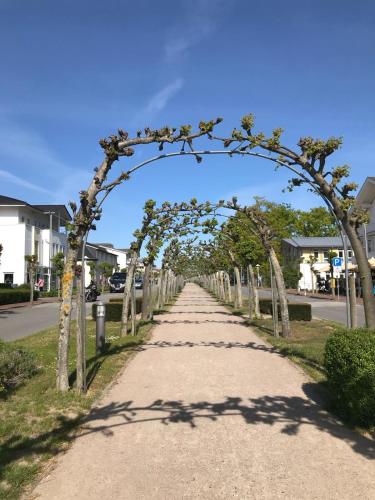 Haus Nicolai FeWo 8 in Baabe, Deutschland
