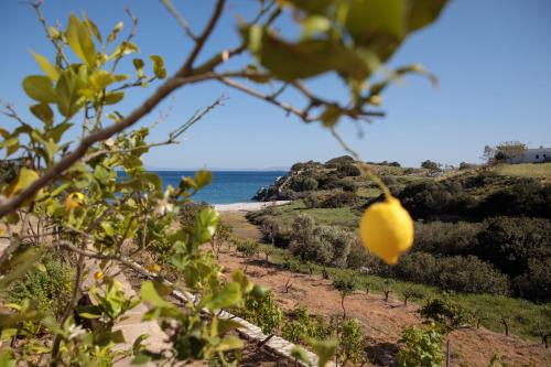 Apiliotis sunrise beach villa