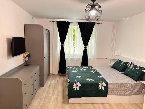 Luna Apartament - Apartment - Timişoara