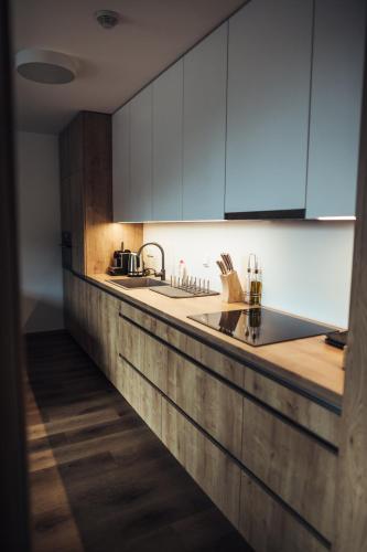 кухня, Luční apartmány Dobromysl a Laskavec (Lucni apartmany Dobromysl a Laskavec) in Церни Д