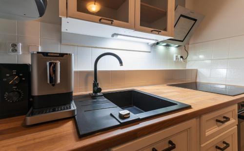 廚房, 瑪格麗塔別墅 (Villa Margarita) in 契斯基庫倫洛夫