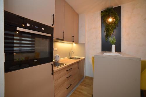 Apartman Istra 3 - Titova Vila in Palisad