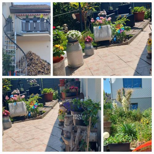Babs, Boppard (foto 6)