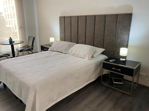 BELLO APARTAMENTO EN SANTIAGO