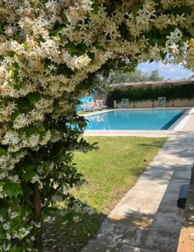 Villa Borgeri - Castagneto Carducci