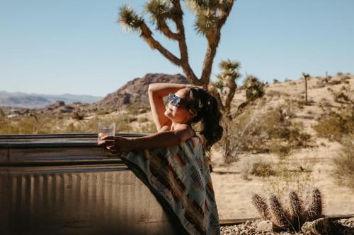 Shelter 1- A Classic- At Joshua Tree Park Entrance - California