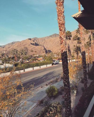 Mountain view Cocoon inspired by Frida Kahlo with Pool, Hot Tub, Tennis, Downtown in Palm Springs, USA