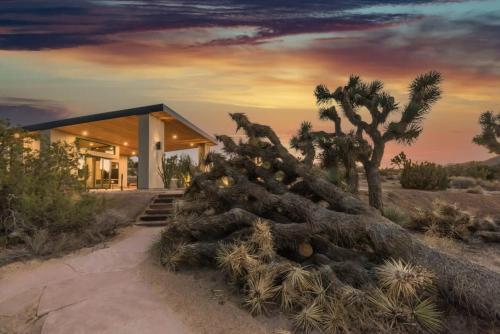 Skyline Ridge- Modern Residence w Sprawling Views in Yucca Valley, USA