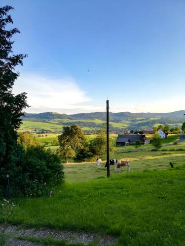 Ferienwohnung Rhönpanorama