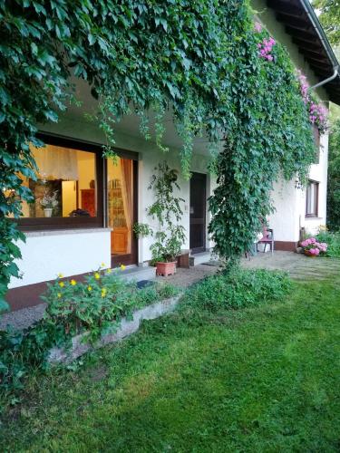 花園, Ferienwohnung Rhönpanorama (Ferienwohnung Rhonpanorama) in 格爾斯費爾德/羅恩