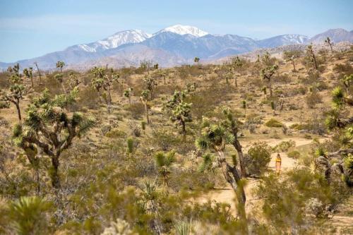 The Bungalows by Homestead Modern in Joshua Tree, USA