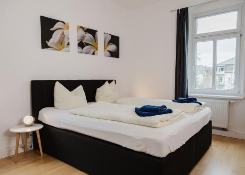 Apartmenthaus Sternstraße 6, Drážďany (fotografie 6)