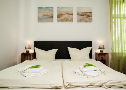 Apartmenthaus Sternstraße 6, Drážďany (fotografie 5)