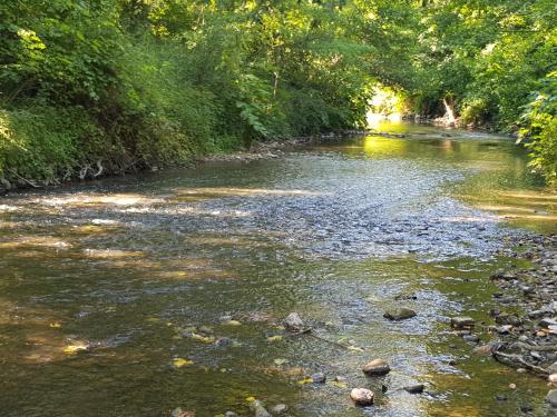 le Gaspalette in Saint-Uze