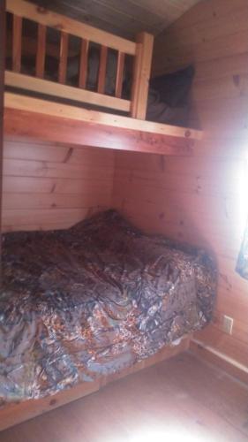 Two Creeks Camp in Athens, USA