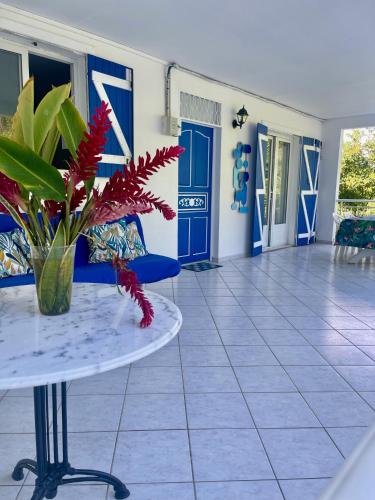 Παροχές, VILLA EDEN Gosier in Μάρε Γκαγιάρντ