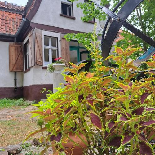 Зовнішній вигляд готелю, Dom na Mazurach Pilec- Apartament in Решель