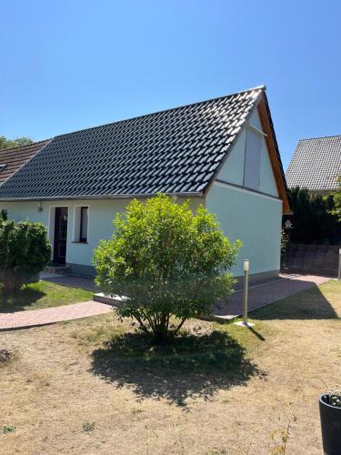 Haus 1, Ückeritz (photo 3)