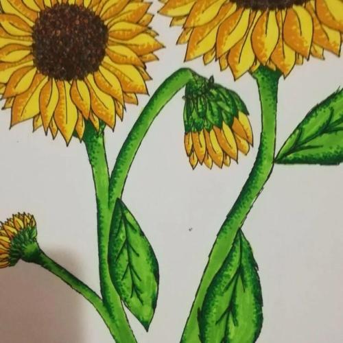 Charming house in Chatún with private pool Charming house in Chatún with private pool