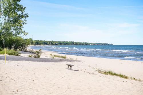 Beach Club of Oscoda - The Lakeshore Cottage - image 14