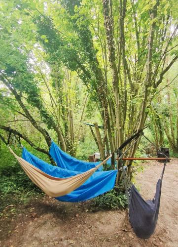 Le camp du bivouaqueur