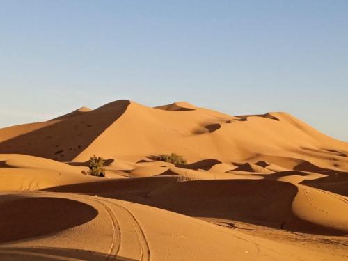 Guest House Nomad Life in Merzouga