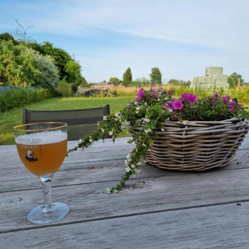 Kert, B&B Krieken de Jour in Ninove
